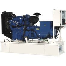 Perkins Serie Diesel Generator Set (NPP88)